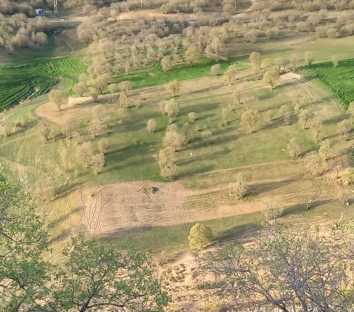 زمین کشاورزی یا باغ نزدک رود خانه