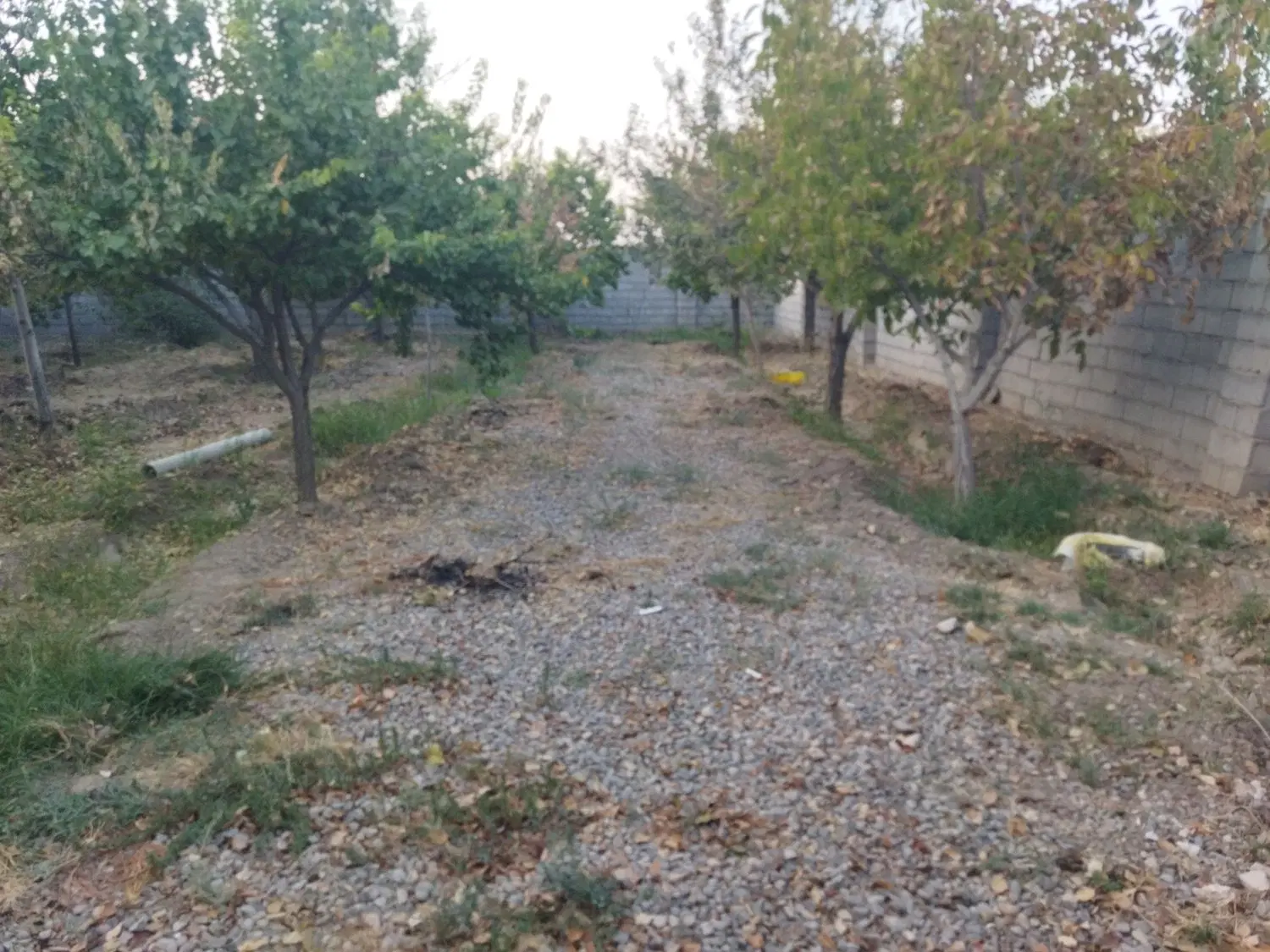 باغ ویلا