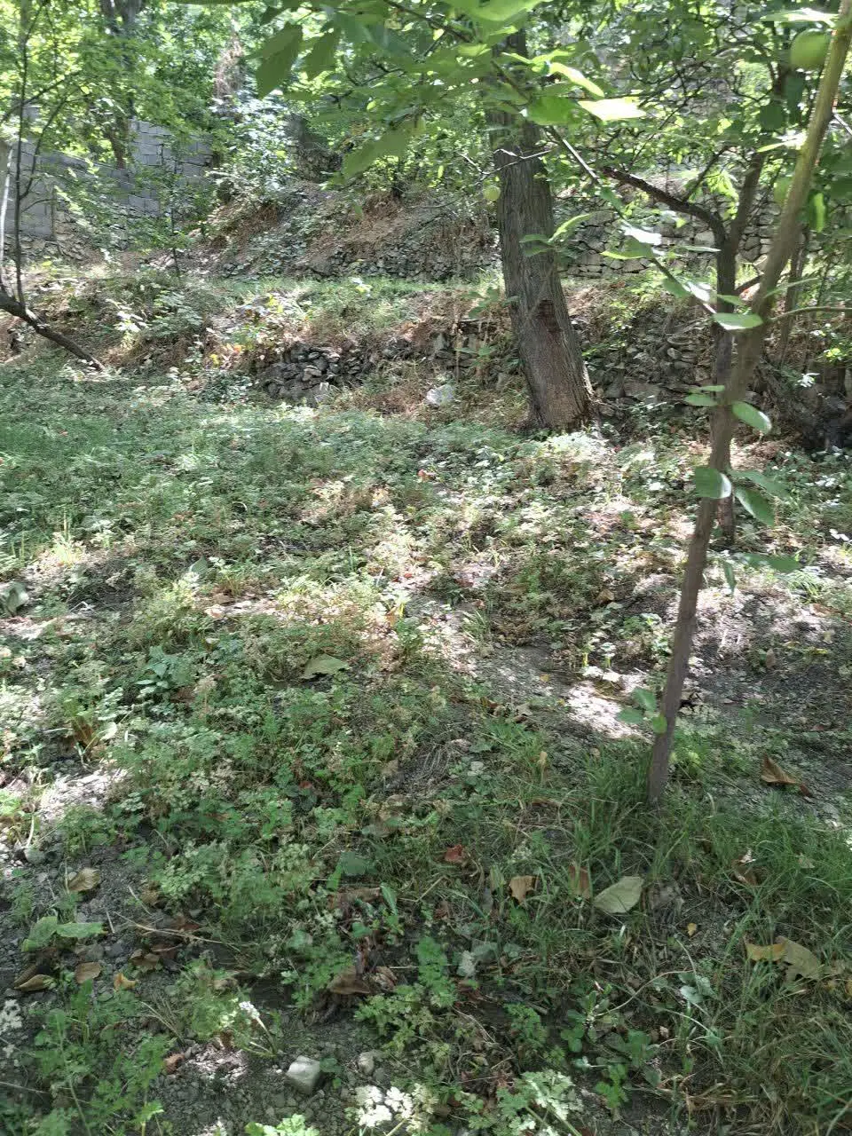 زمین ۲۸۰ متری ارنگه بزرگ