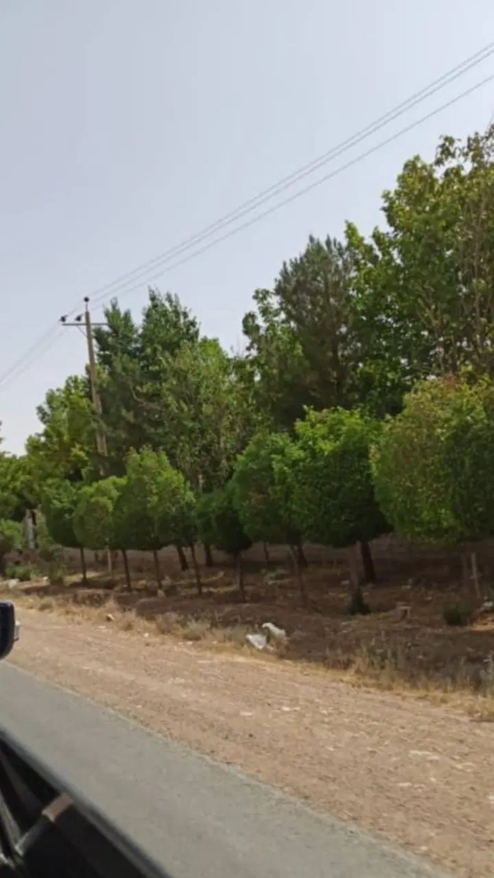 زمین غدیرشهر سپاه فاز یک سردونبش