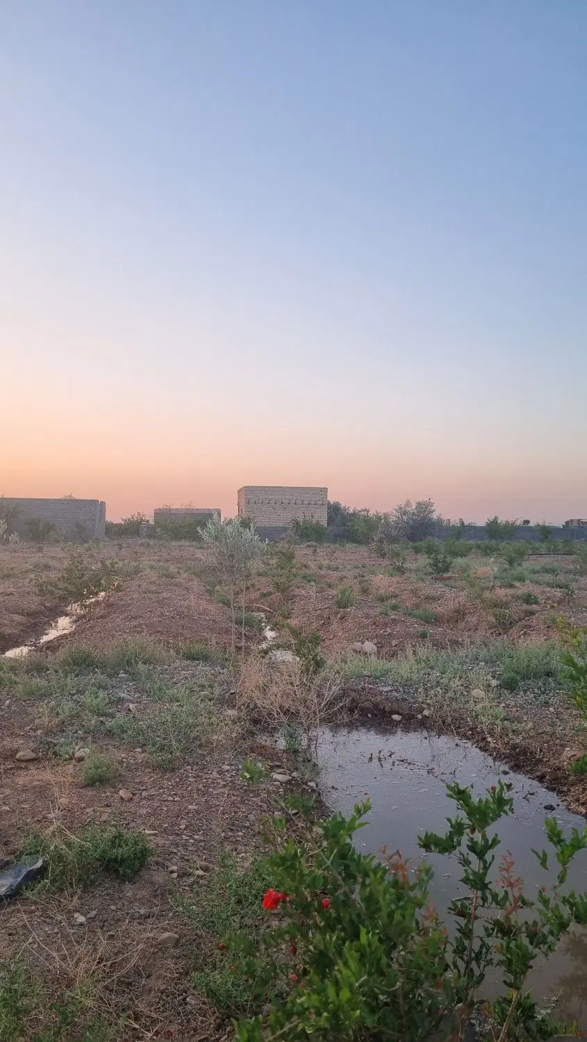 باغچه