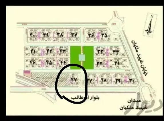 زیتون تک خواب 22هکتاری