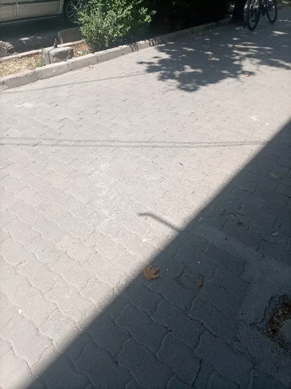 فرصت عالی برای سرمایه گذاری