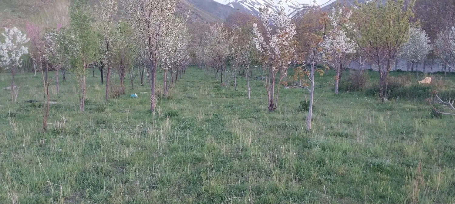 فروش باغ‌‌ در روستای الاحق