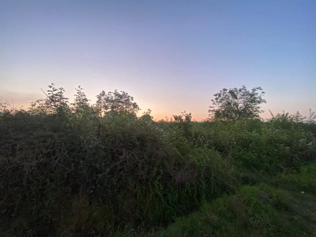 زمین ۱۵۰۰ متر نوشهر