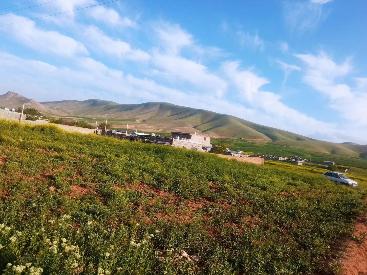 زمین باغ آبی سرچاه کمالوند