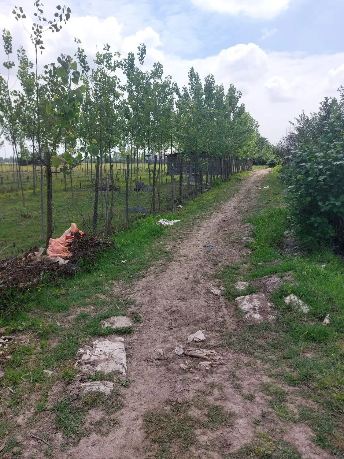 زمین ۲۰۶متر برای ساخت کلبه یا ویلا کانکسی