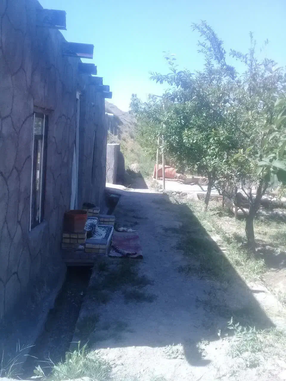 فروش باغ در عارفی