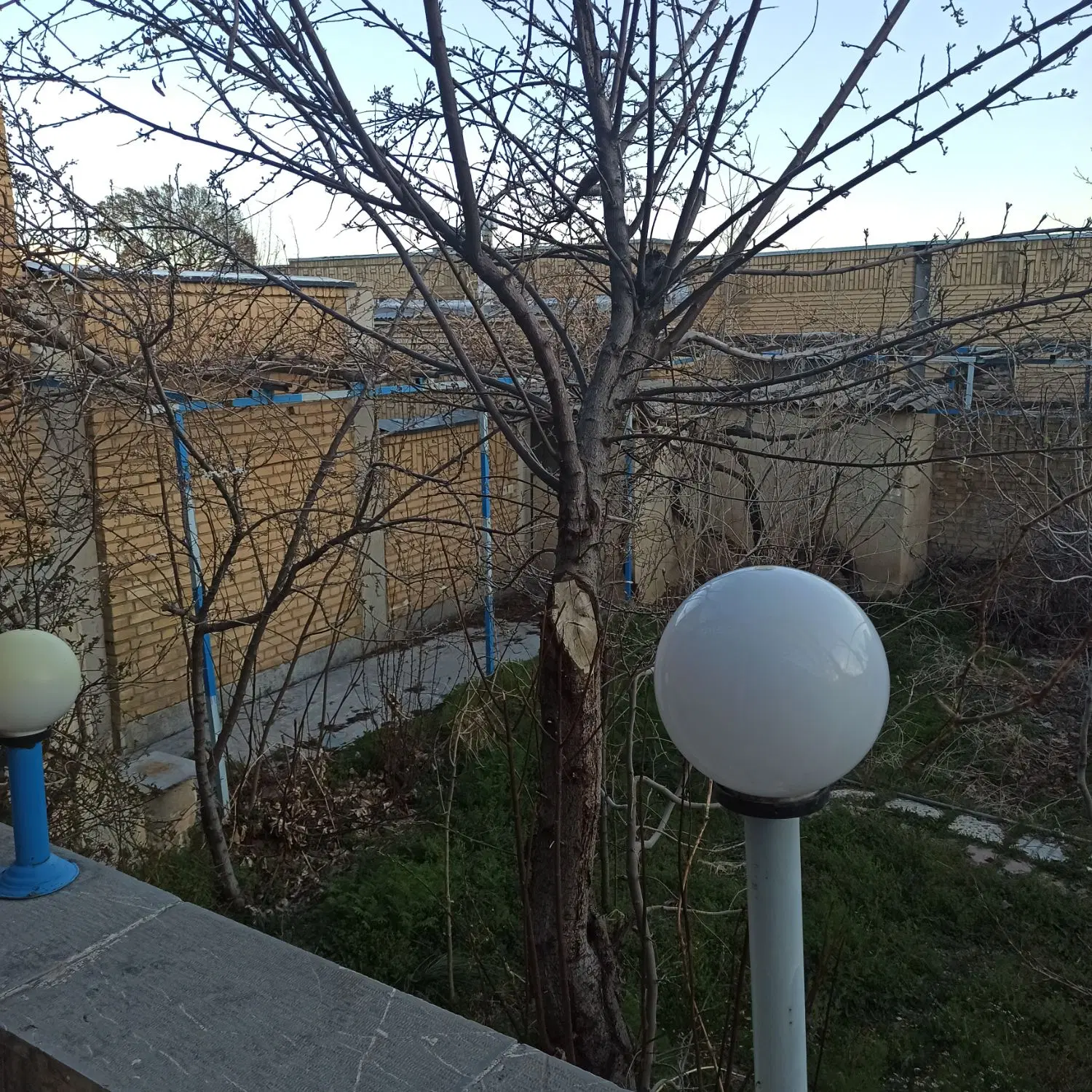 ویلایی مهاجران