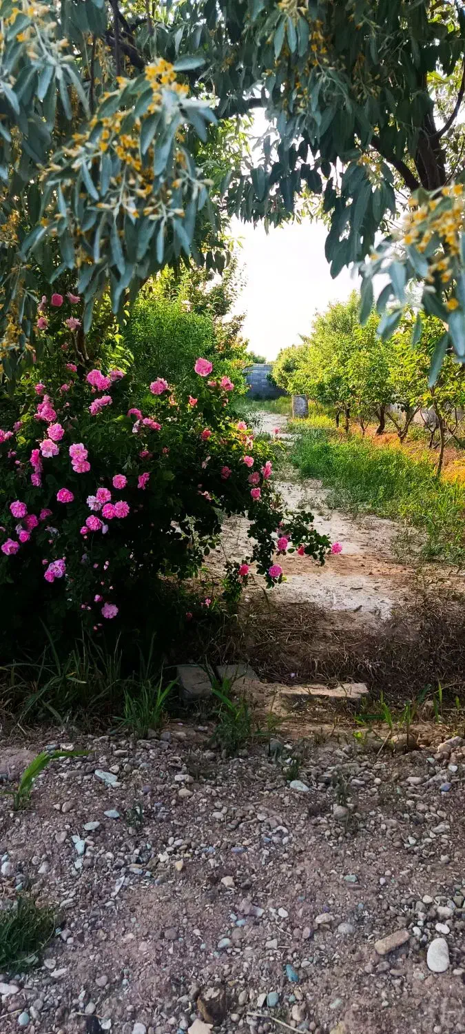 فروش زمین