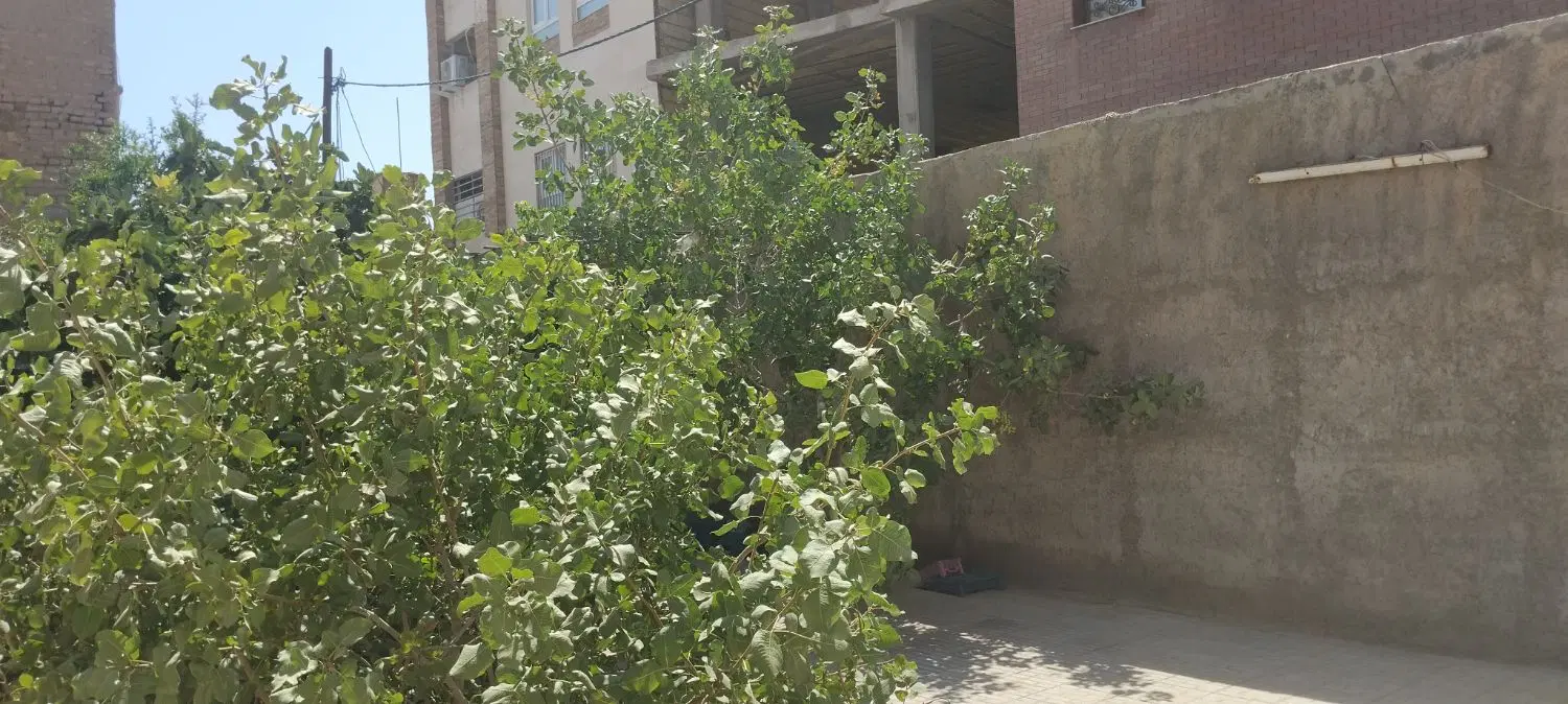 خانه کلنگی ۲۴۰متر