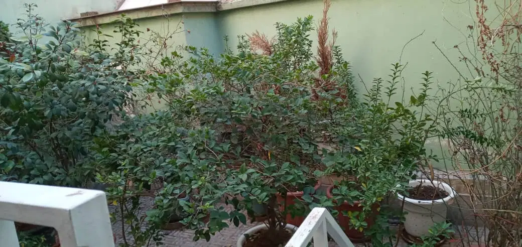 آپارتمان اجاره