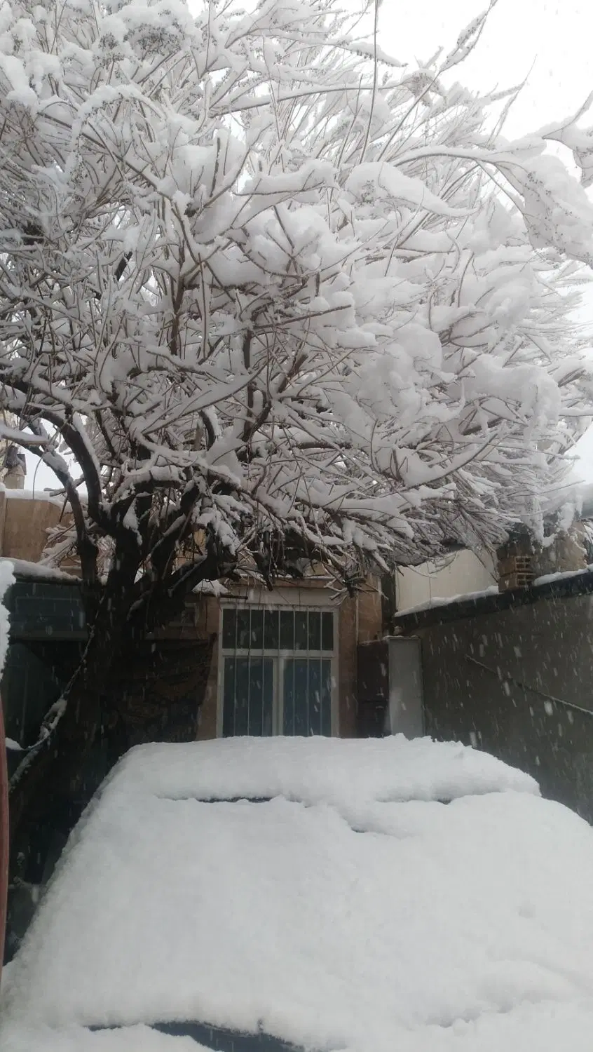 خانه رهن کامل