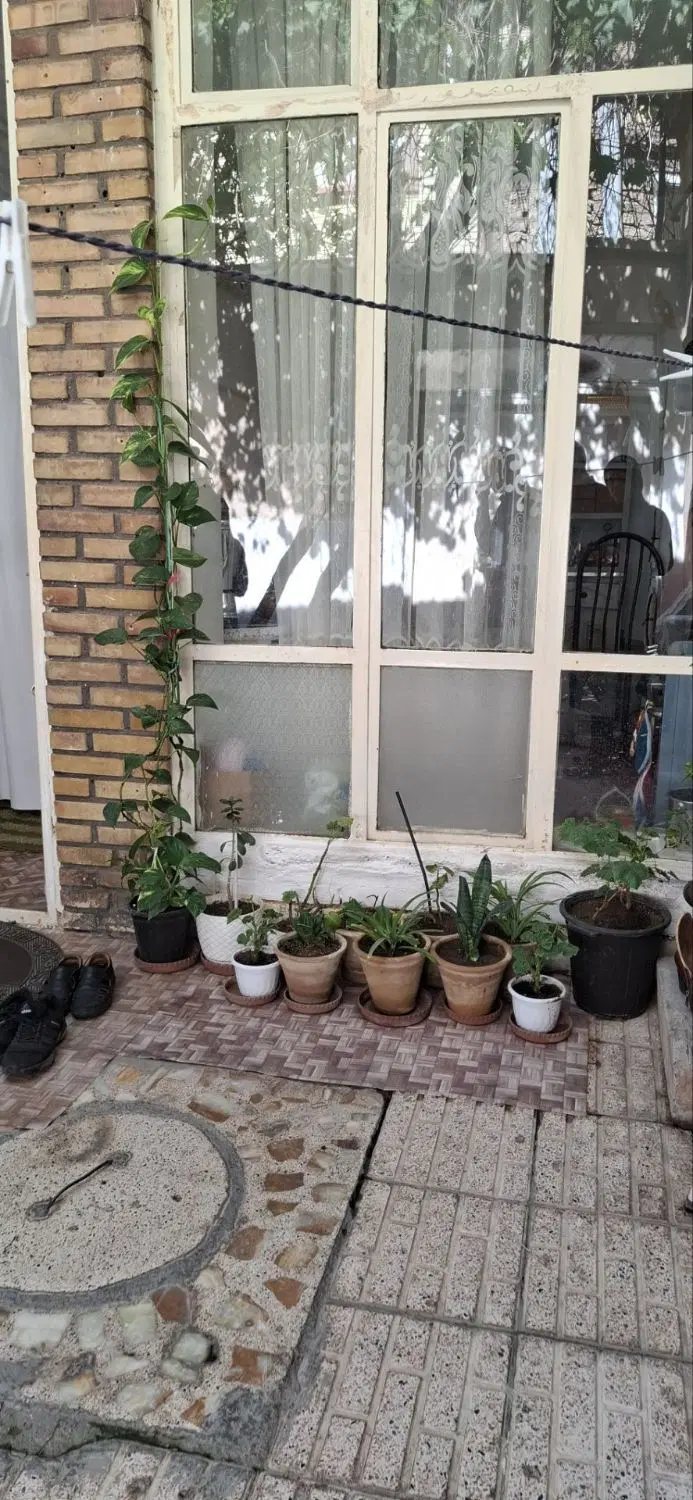 حیاط ۶۴ متری در قره باغی