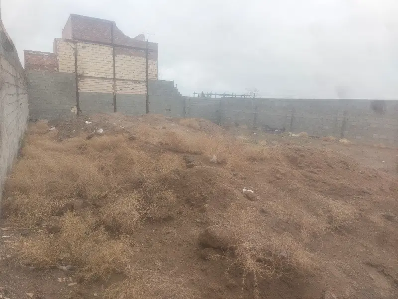 ۱۰قصب شریف اباد