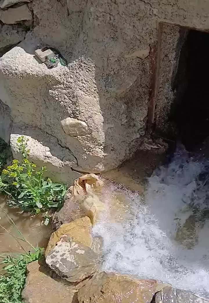 زمین کشاورزی باغی مزرعه