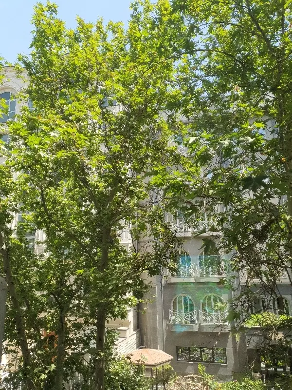 مغازه عمده فروشی نجف آباد