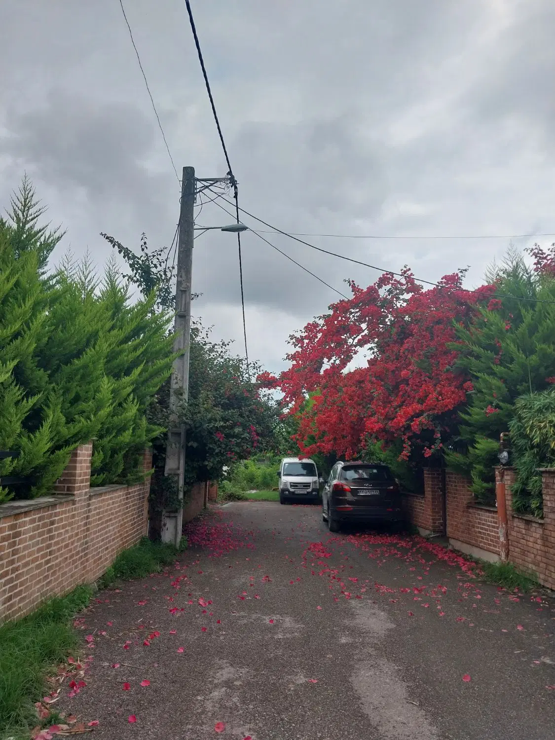 املاک حسام خانم سیاری ویلای دو طبقه