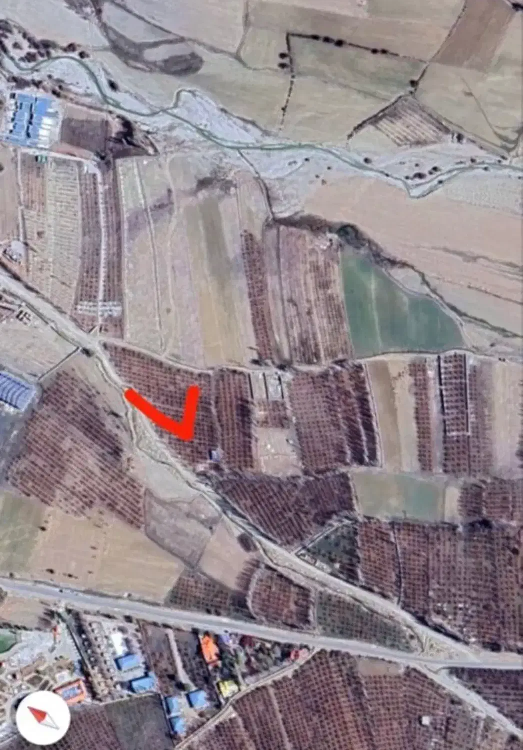 باغ سیب