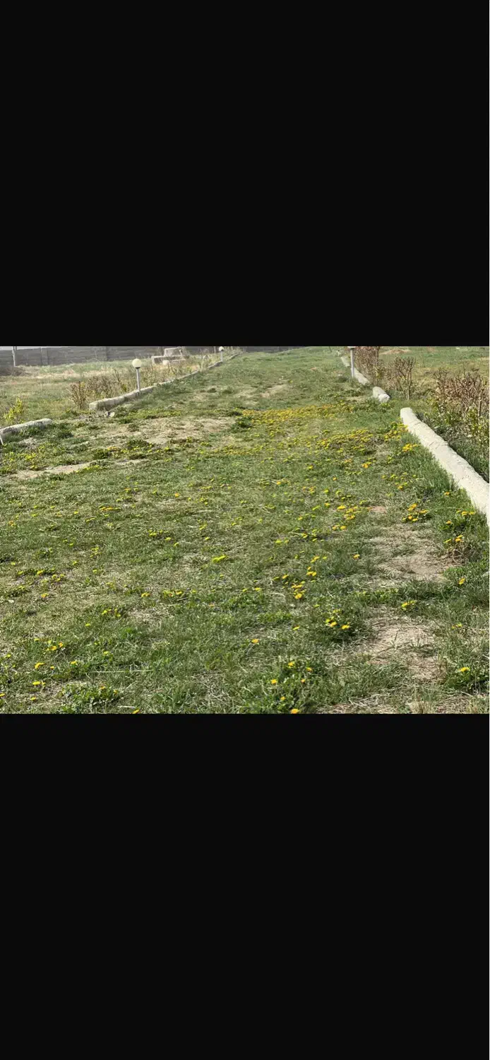 زمین ۲۵۲ متری کجور