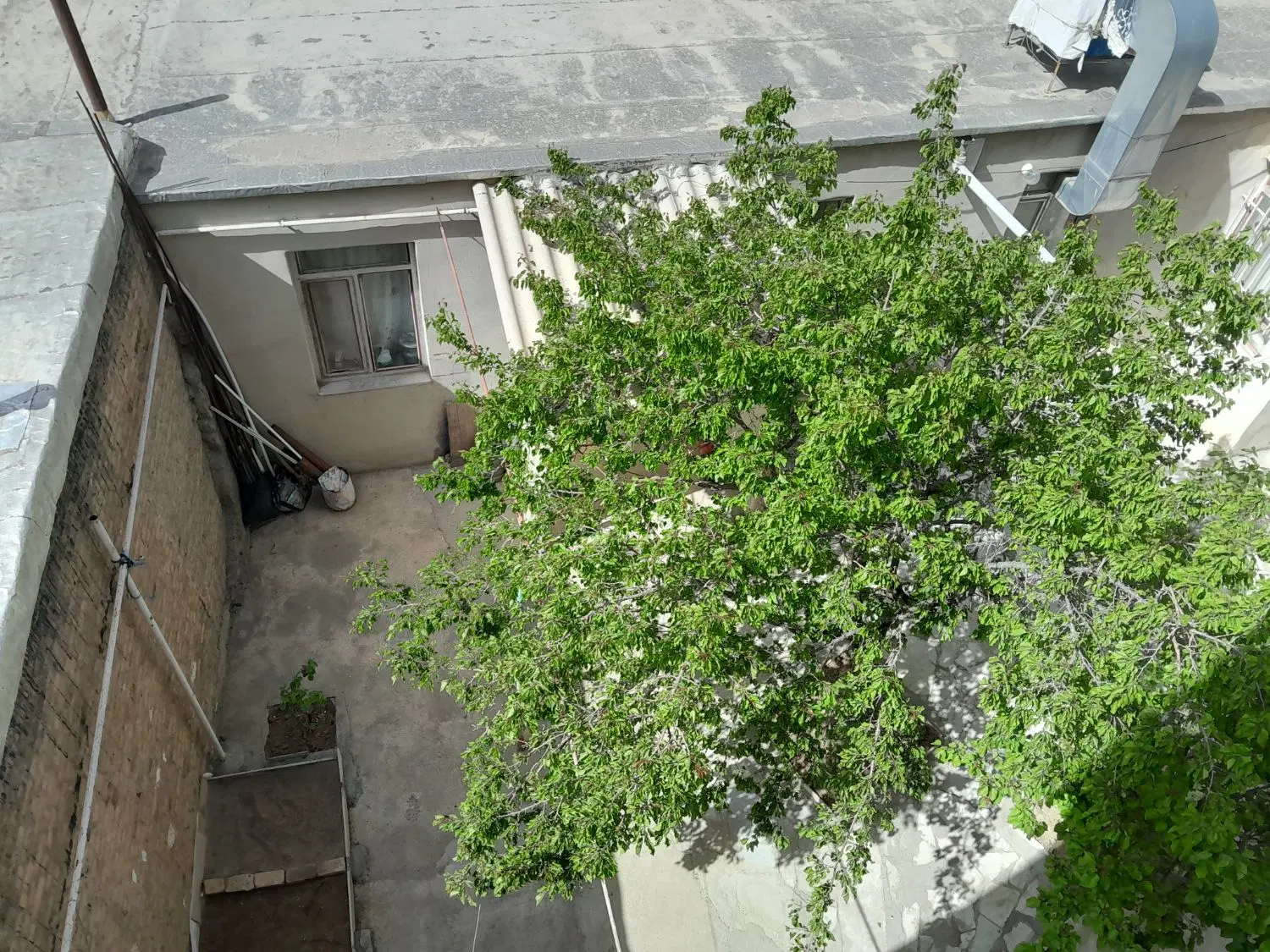 اجاره خونه ویلایی