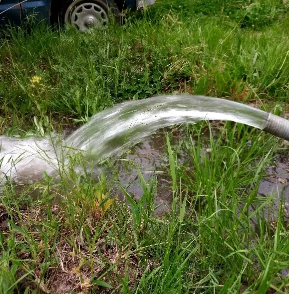 فروش باغ در روستای آبقد گلبهار