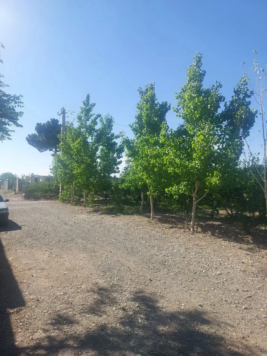 ۶۰۰ متر باغچه فروسی آقدره