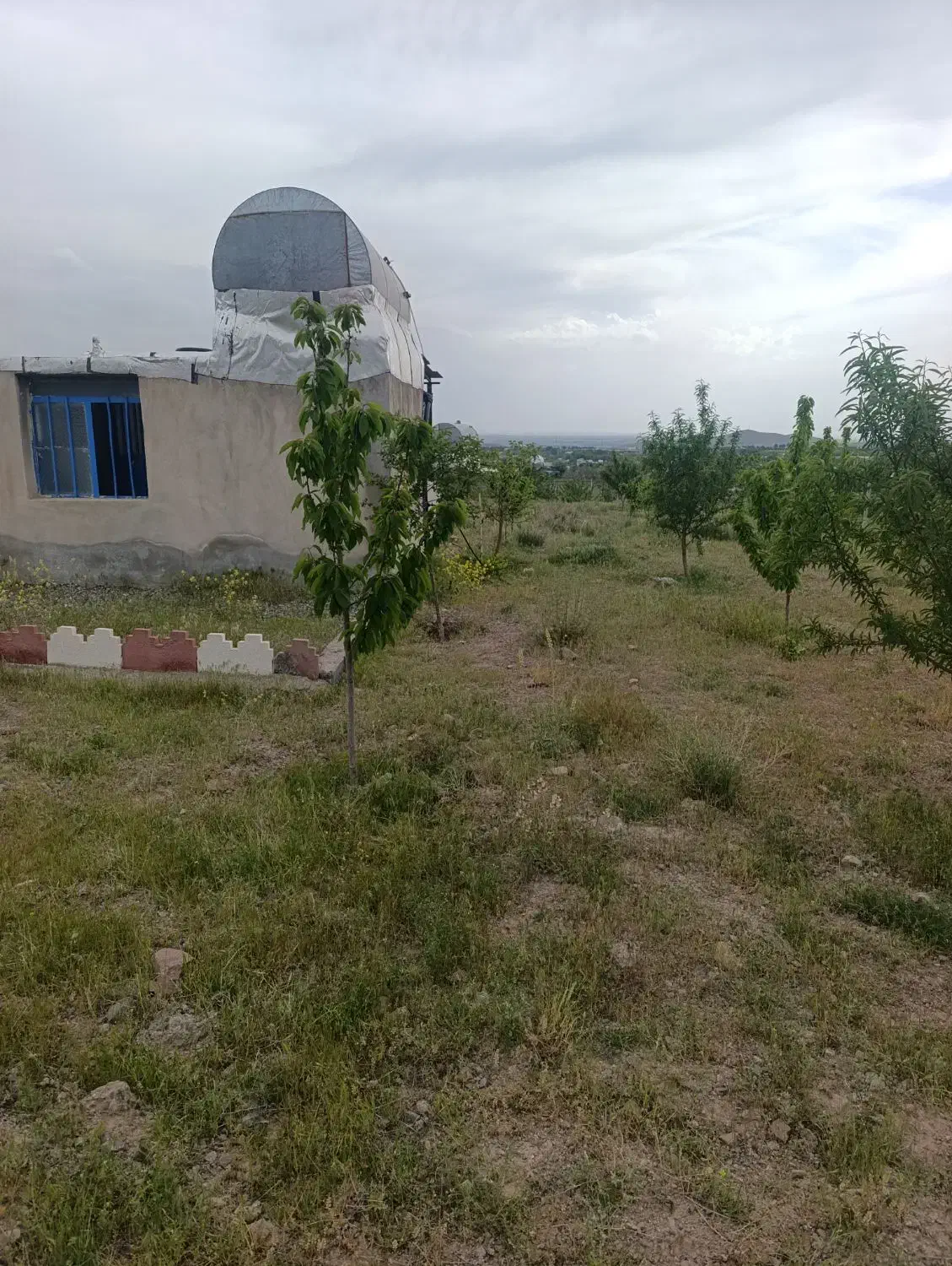 خونه باغ
