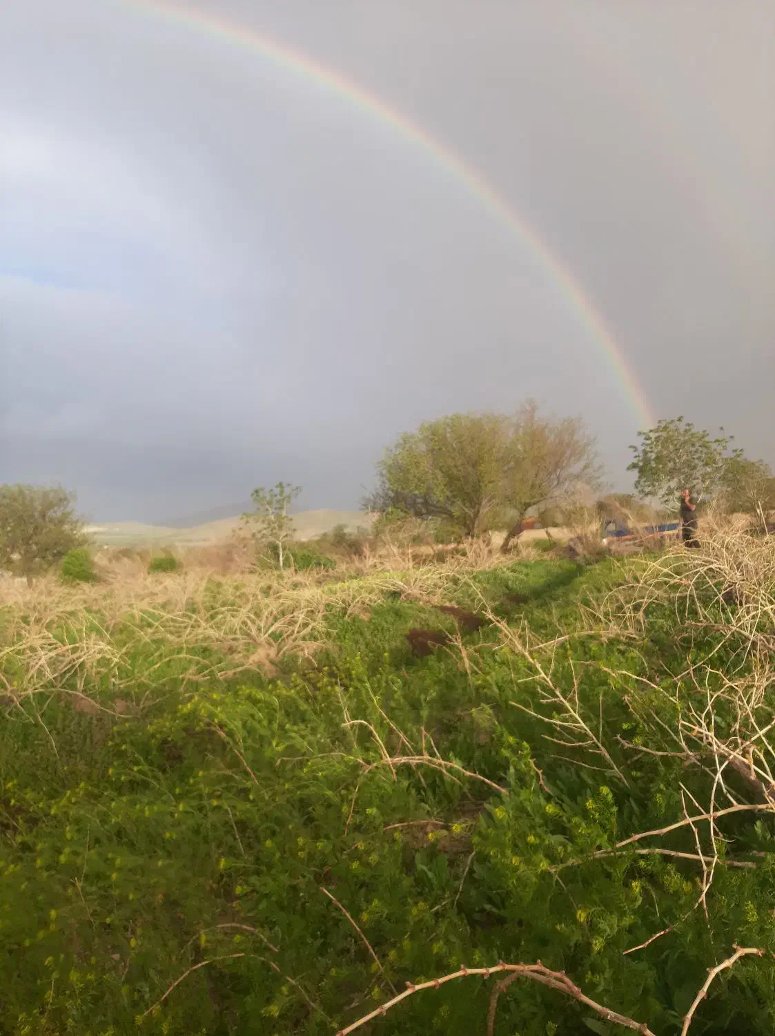 باغ فروشی. ادرس روستای ورچق.مکان باغ نثار.