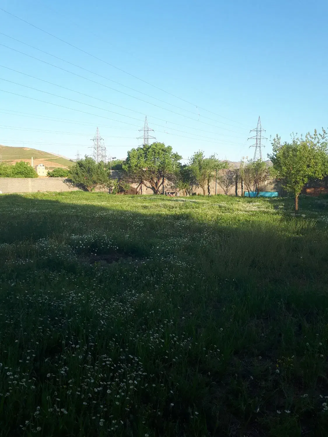 اجازه زمین کشاورزی