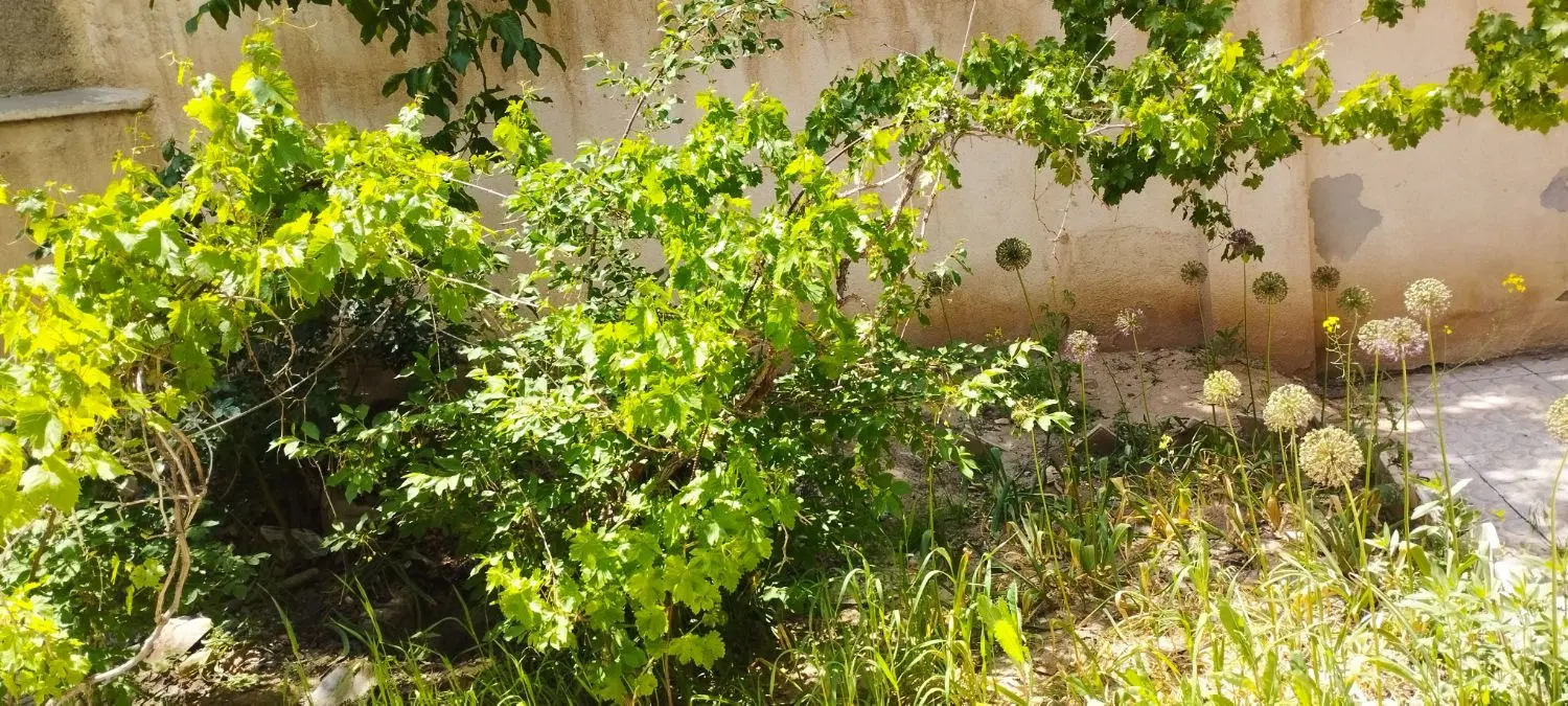 منزل ویلایی 230متری
