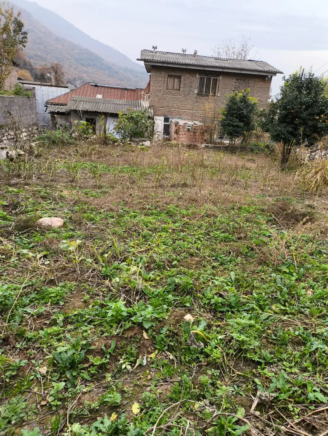 یک قطعه زمین