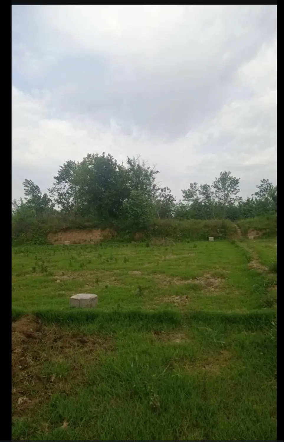 زمین
