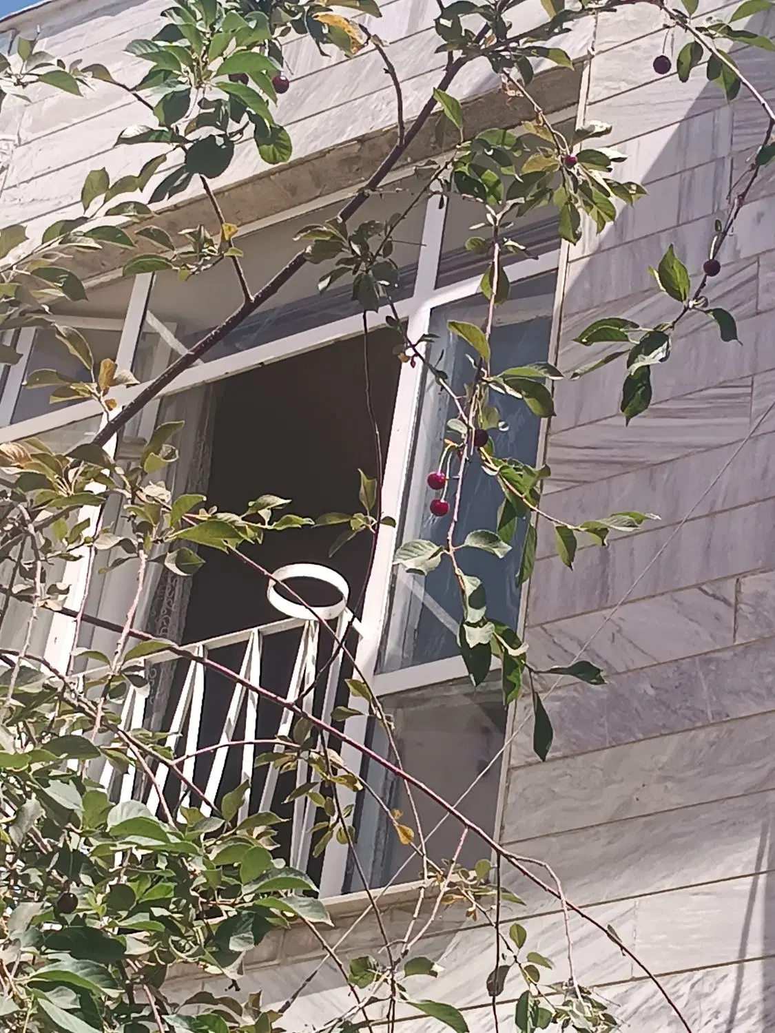 اجاره خانه