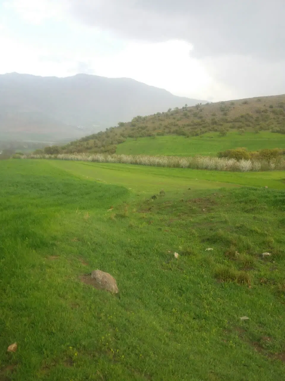 زمین ابی
