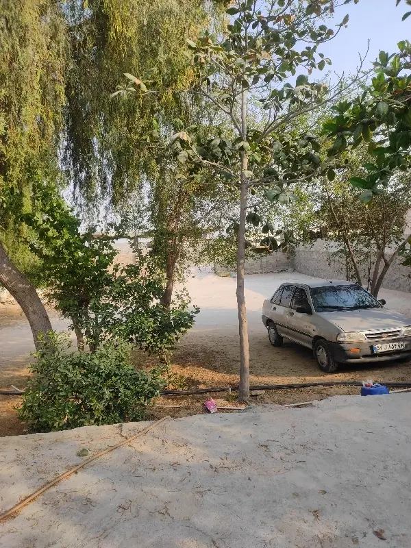 زمین تنب پارسان(تنبان)