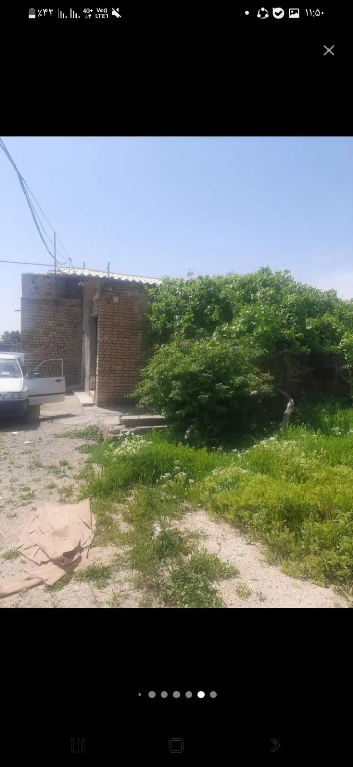 مزرعه کشت گیاهان دارویی وگلخانه