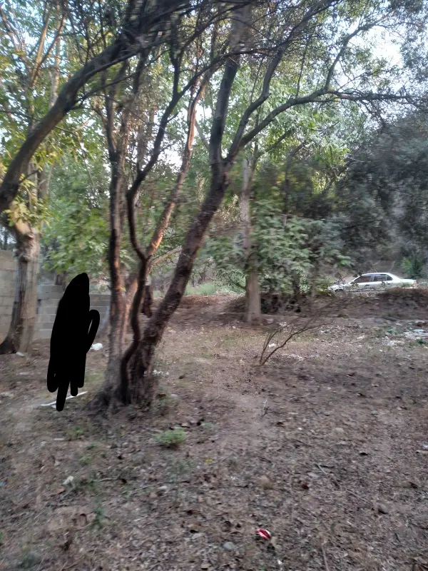 زمین مسکونی به متراژ ۱۵۸متر روستای جوبن