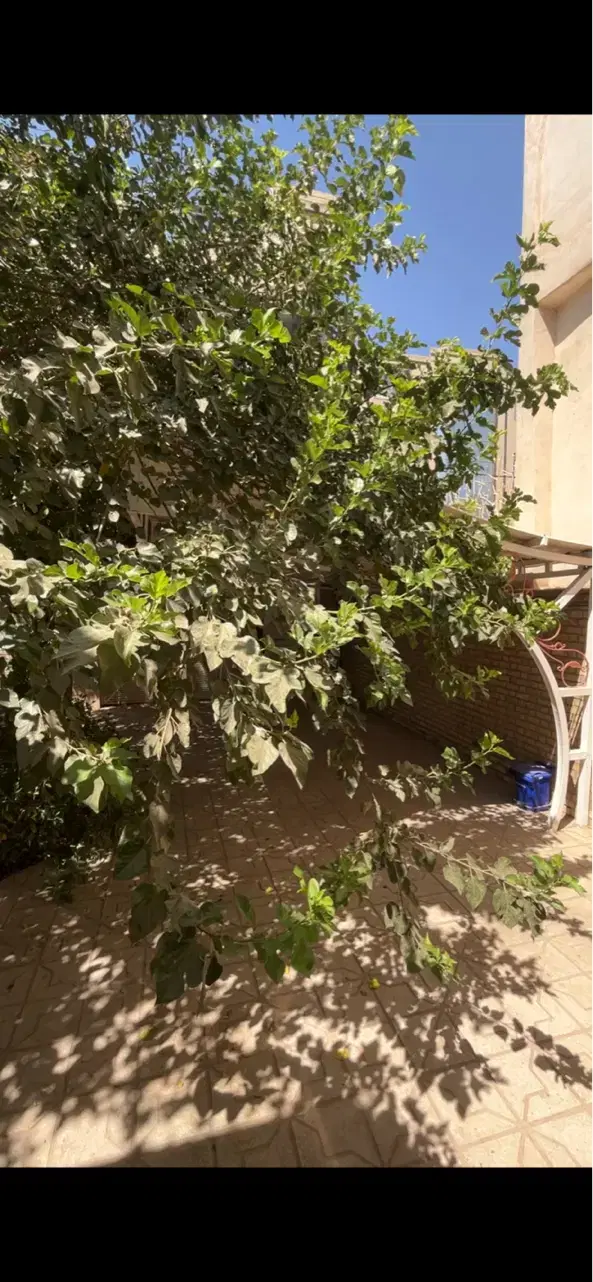 فروش منزل مسکونی نعل اسبی شهرک دانشگاه ۲۰۰ متر