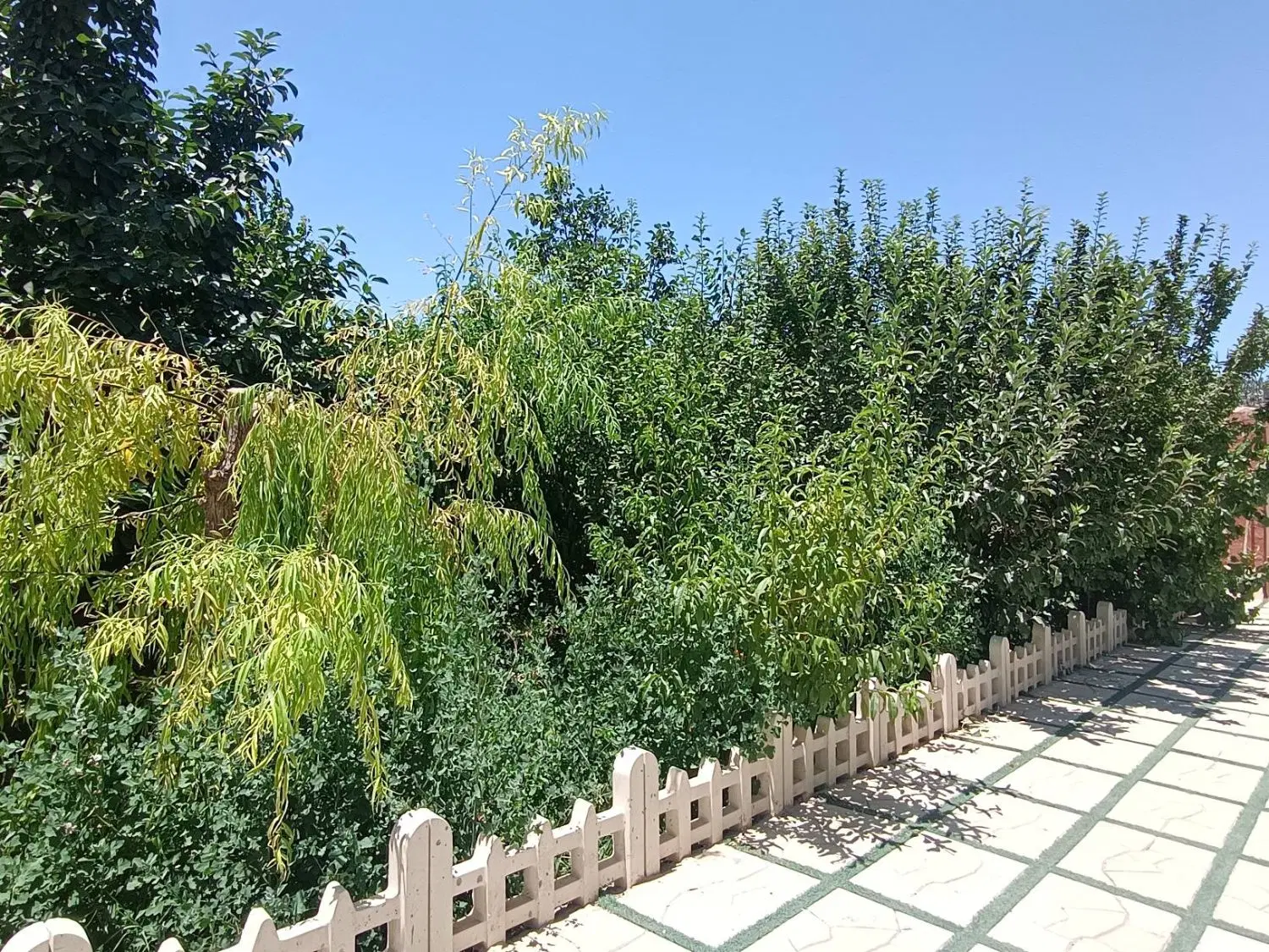 ۵۰۰ متر باغ ویلا ۸۰ متر بنا شهریار فردوسیه