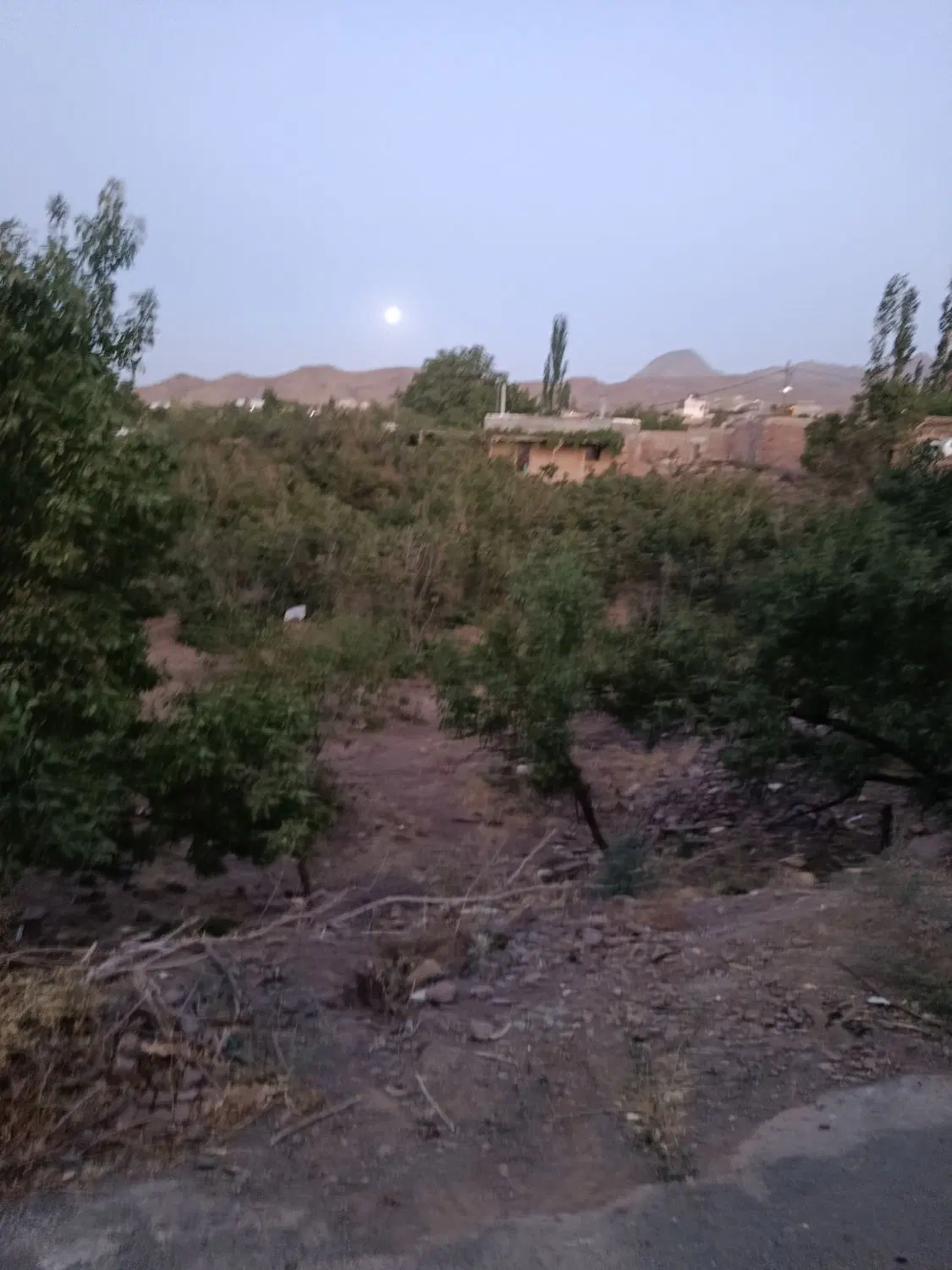 املاک محمدی روستای وشنوه 250متر زمین داخل بافت