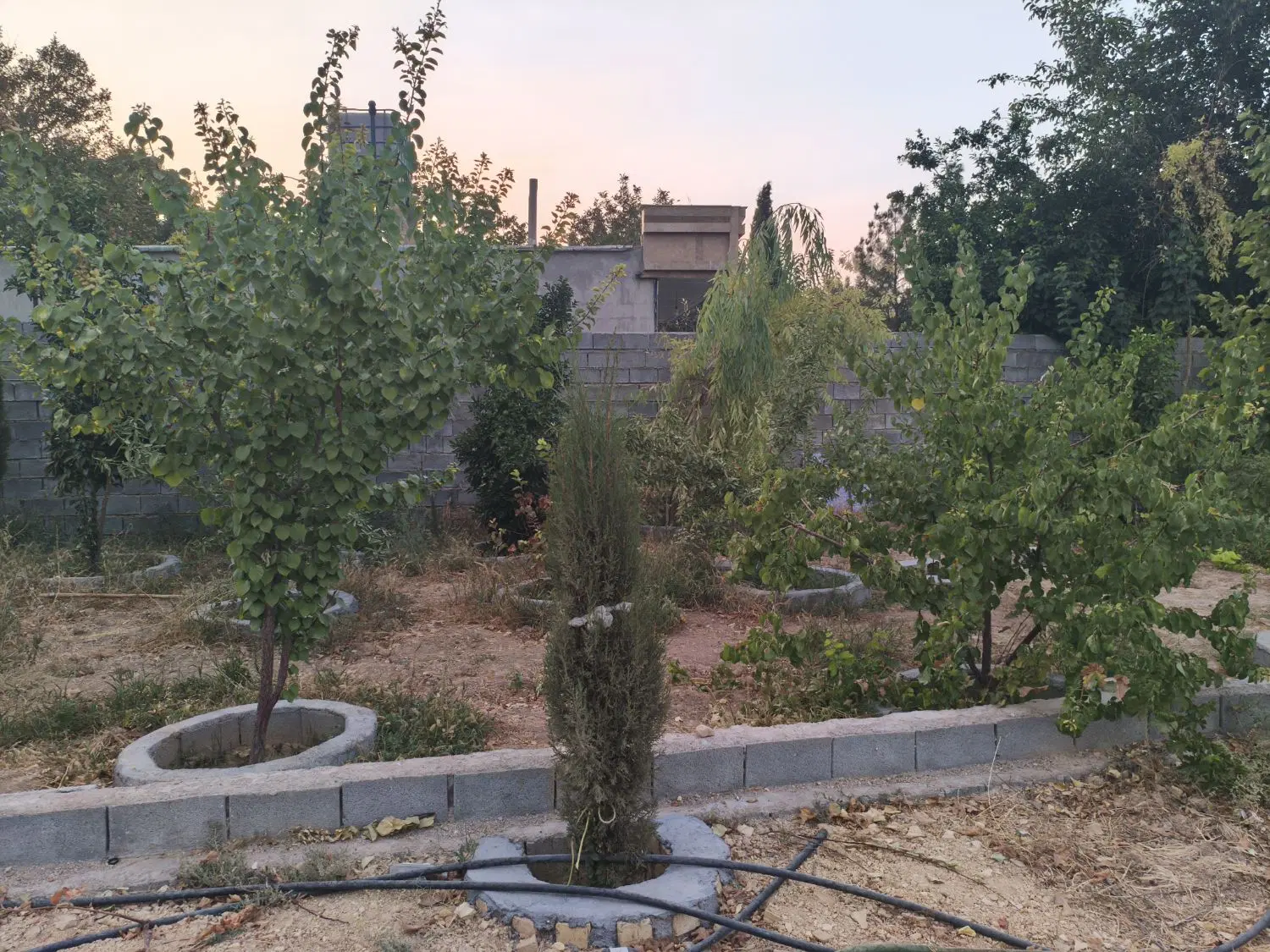 باغ شهری