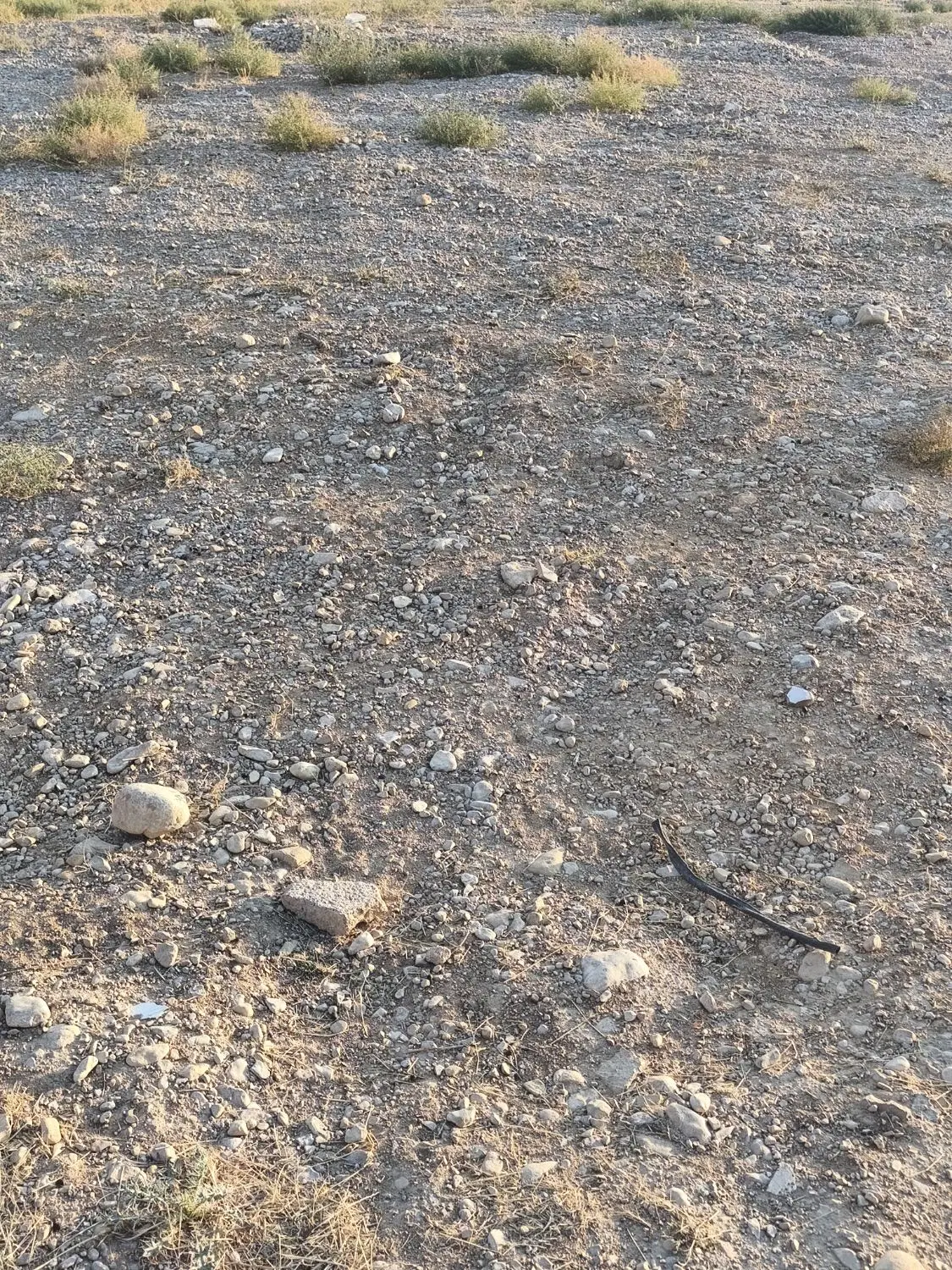 زمین کلاته یاور