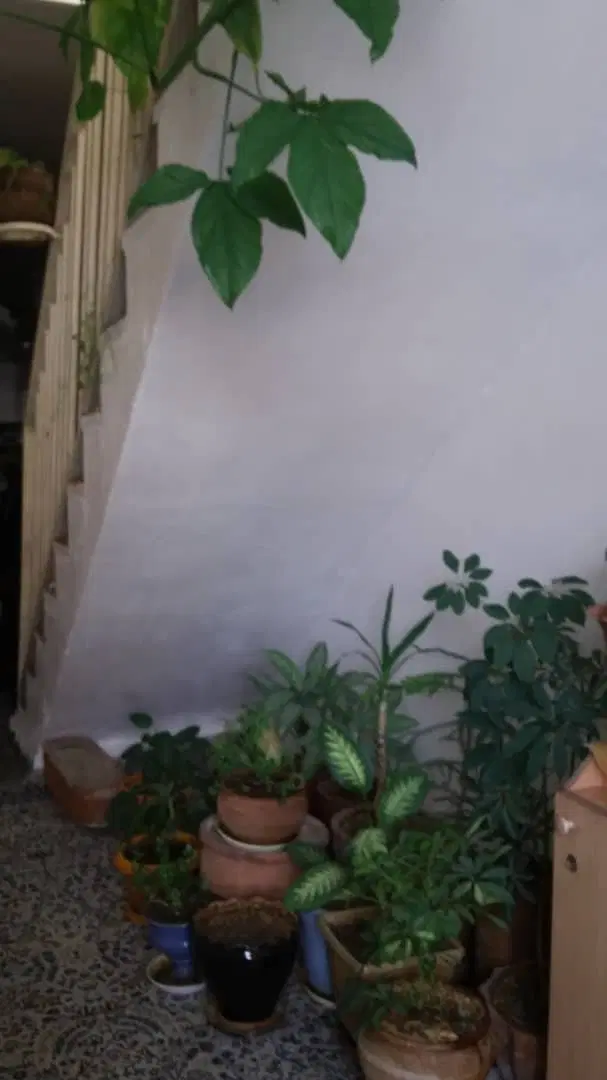 خانه ویلایی
