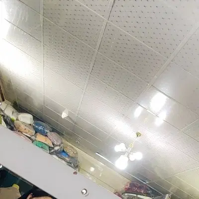 همخونه خانم