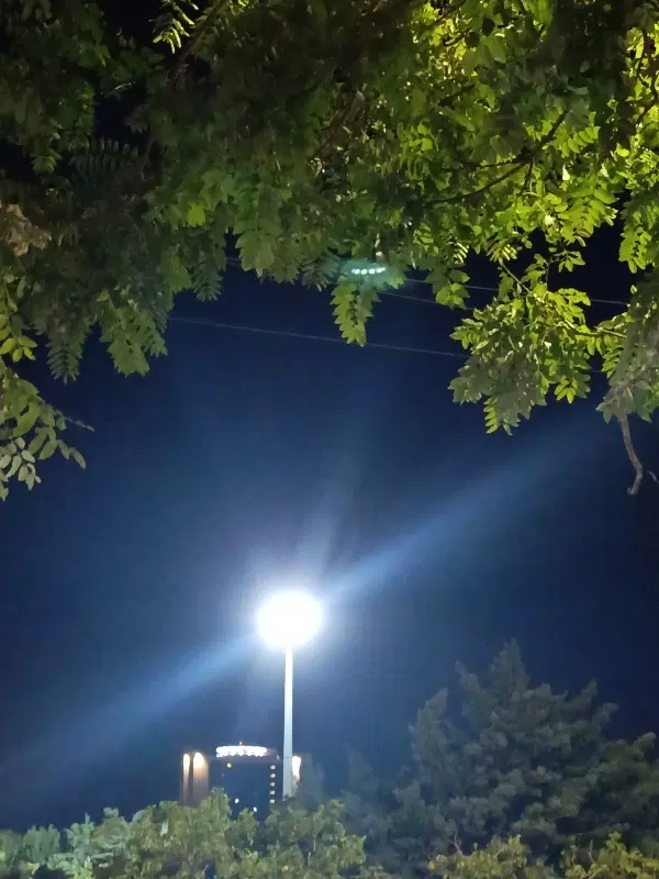 واحد اجاره ای در ایل گلی