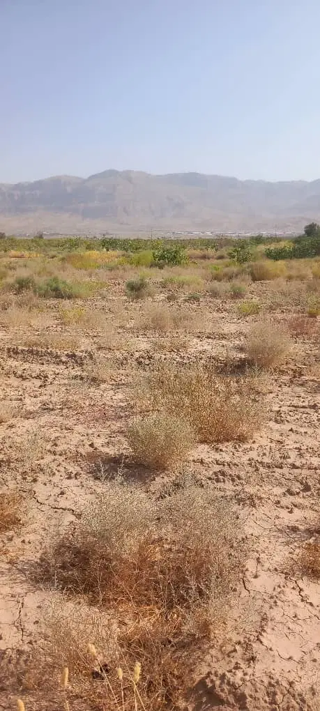زمین مسکونی