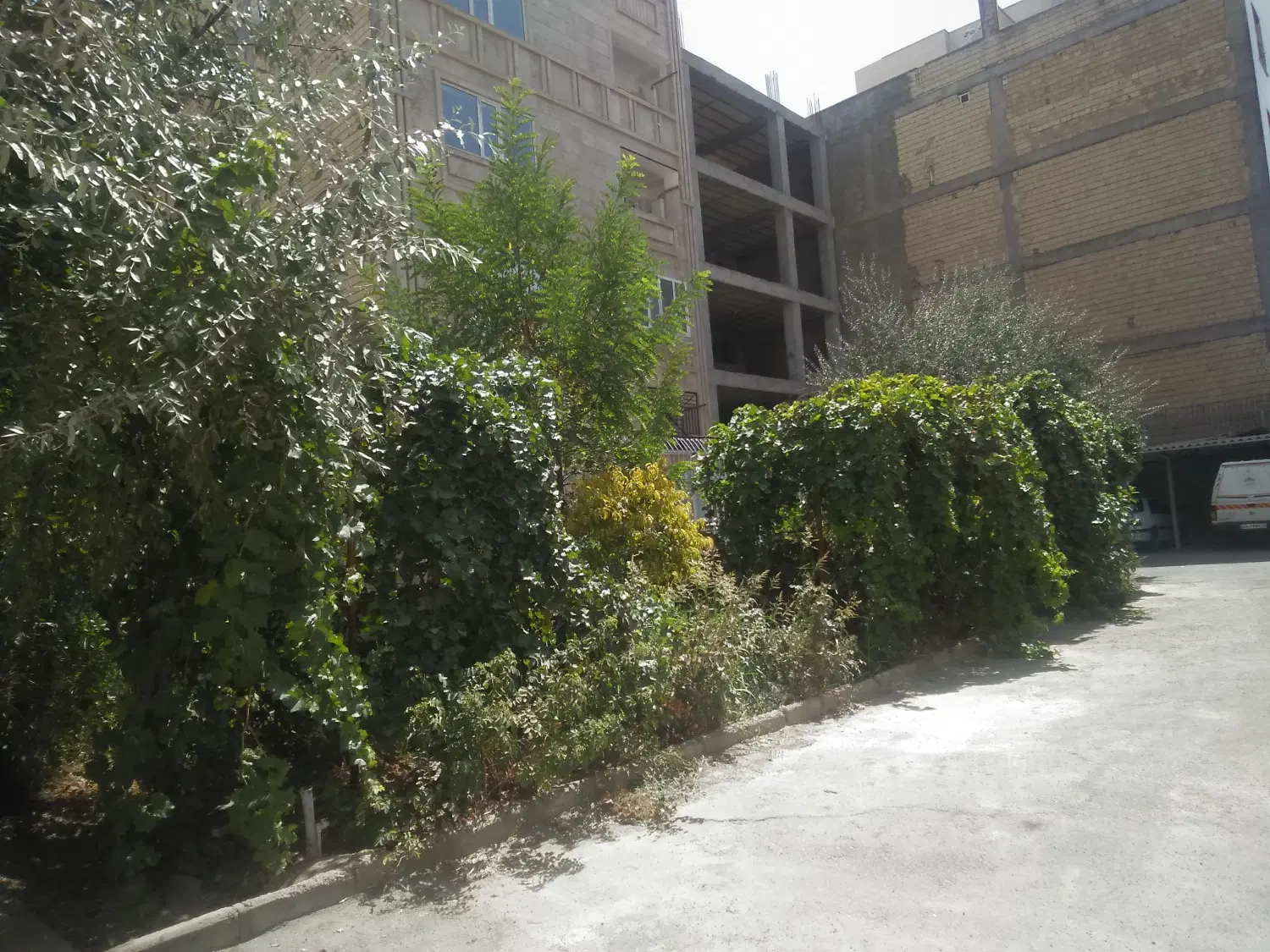 تکبرگ سند نیمه ساز