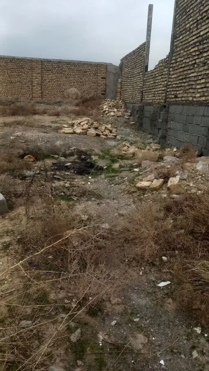 فروش زمین (شکار)