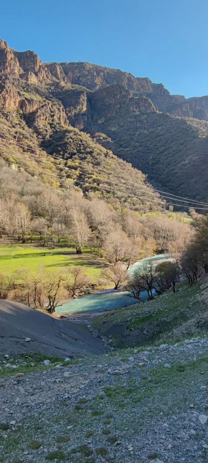 خونه باغی